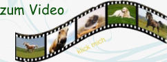 zum Video
